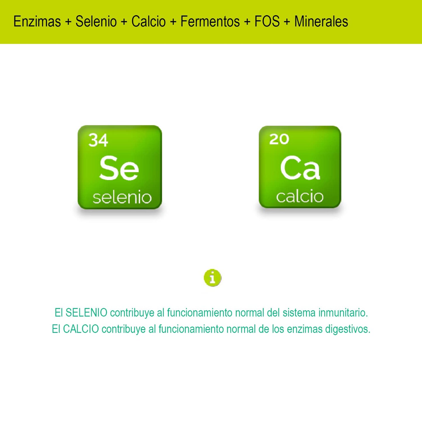 Novadiet - DENZIMAX Cápsulas con Enzimas, Calcio, Selenio, Fermentos, FOS y Minerales, Favorece y Ayuda las Digestiones Lentas y Pesadas y al Bienestar Digestivo - 30 Cápsulas