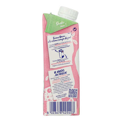 LECHE ARROZ ALMENDRA BIO 250ML