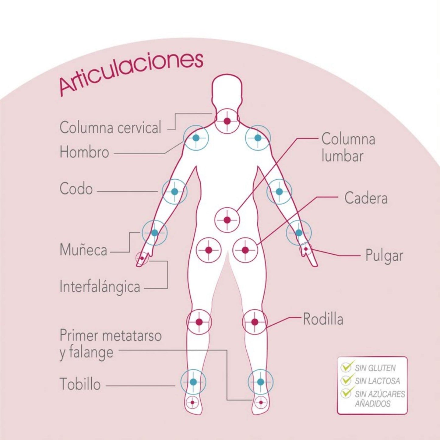 Complemento Alimenticio Regendol Forte - 14 Viales de 14 ml - Contribuye a Mejorar la Movilidad Articular - Favorece la Formación del Colágeno - Con Ácido Hialurónico y Vitamina C - Eladiet