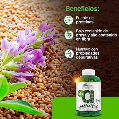 Soria Natural Verde de Alfalfa - Fuente Rica en Vitaminas, Minerales y Clorofila - Suplemento para Energía y Salud Digestiva, Capilar, Piel y Uñas - Antioxidante Natural - 240 cápsulas