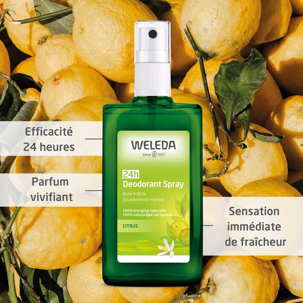 WELEDA Desodorante Spray de Citrus (1x 100 ml)