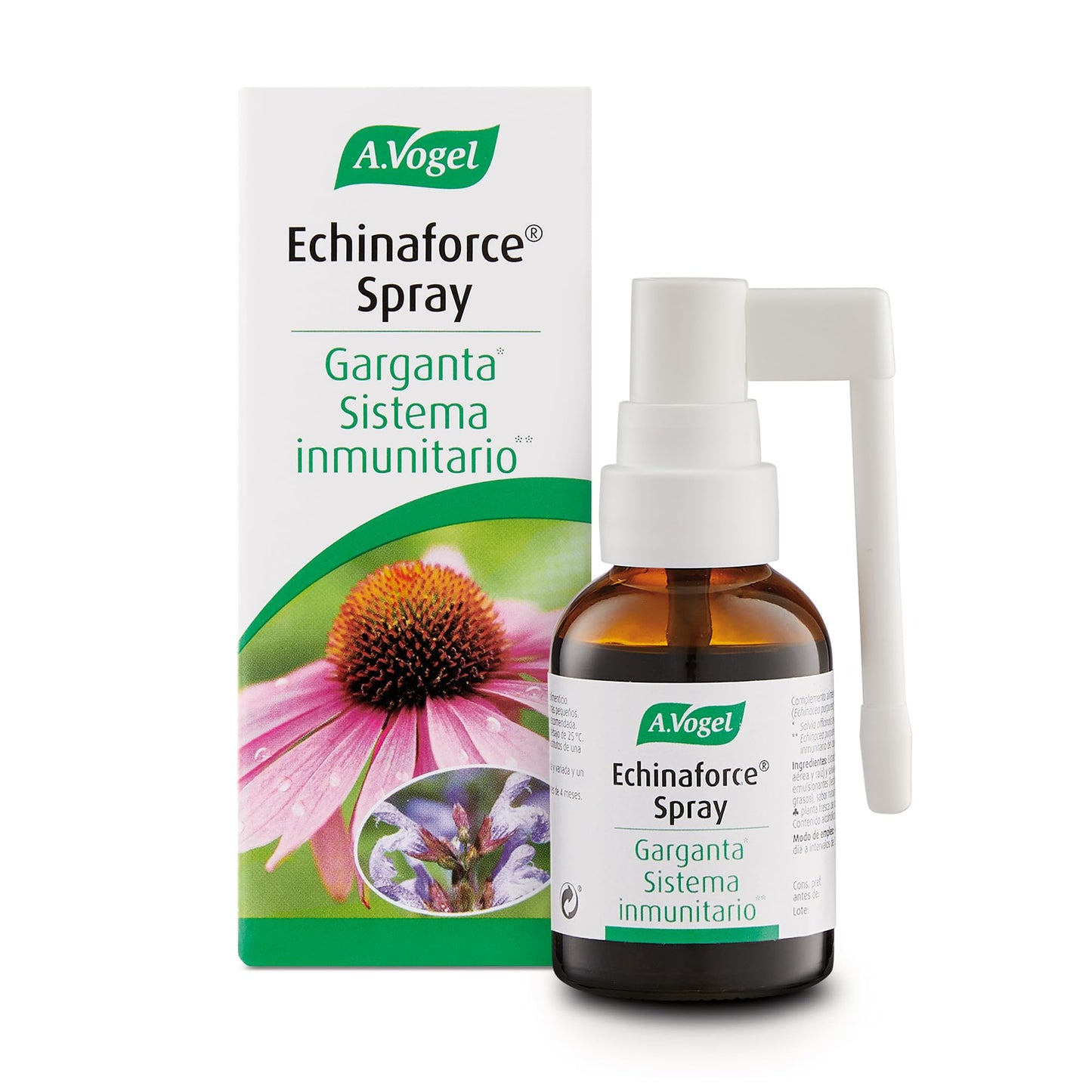 Echinaforce® Spray | Linderung von Halsreizungen* | 30ml | A.Vogel, 30 Milliliter, 1