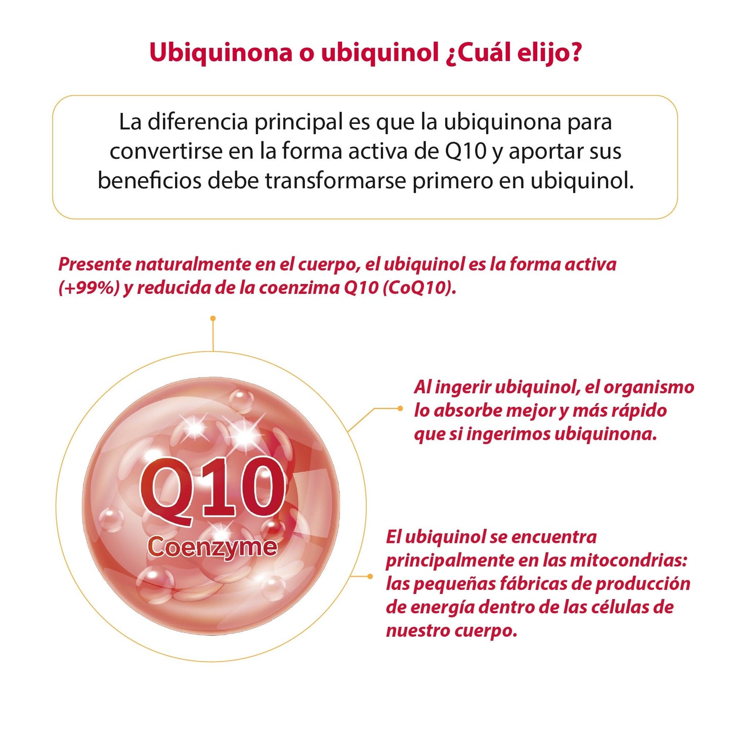 100% natural Quinol10 Vitamina B1 - 60 Cápsulas