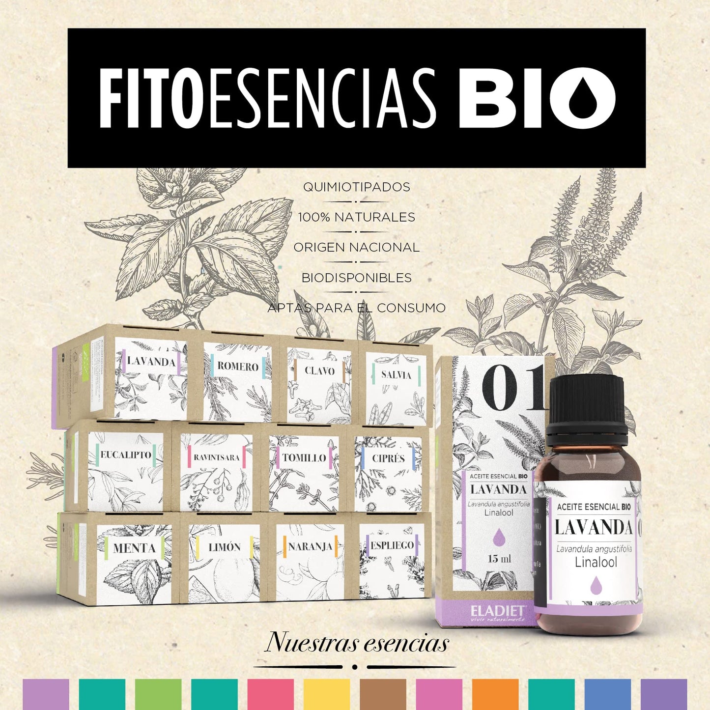 Aceite Esencial de Limón Bio - 15 ml - Propiedades Antioxidantes - Gran Aporte de Energía - Efecto Gastroprotector - Ideal para Regular las Digestiones y Aliviar Molestias - Eladiet