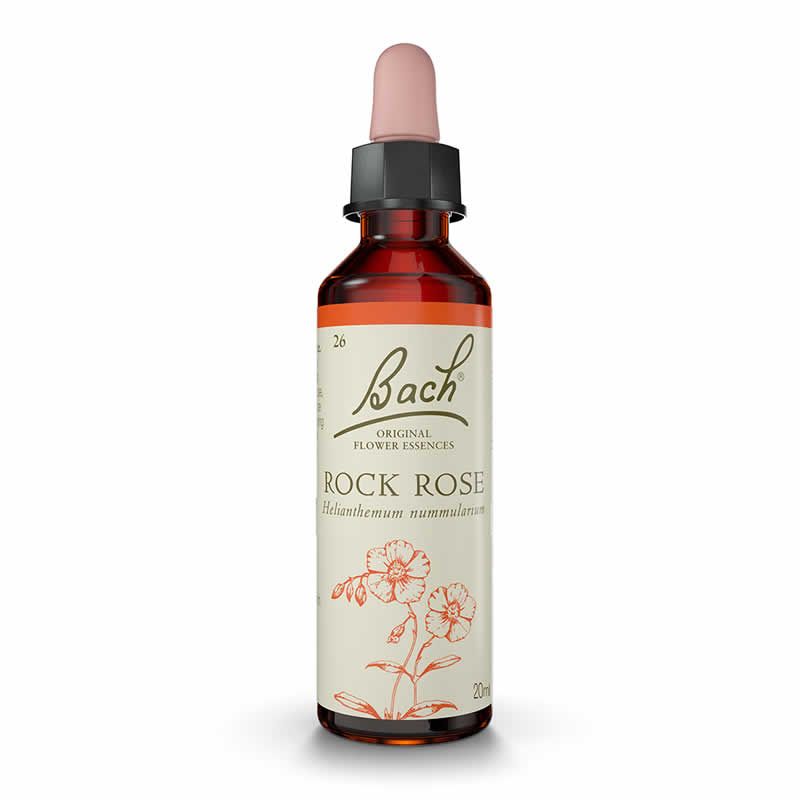 (26) Rock Rose