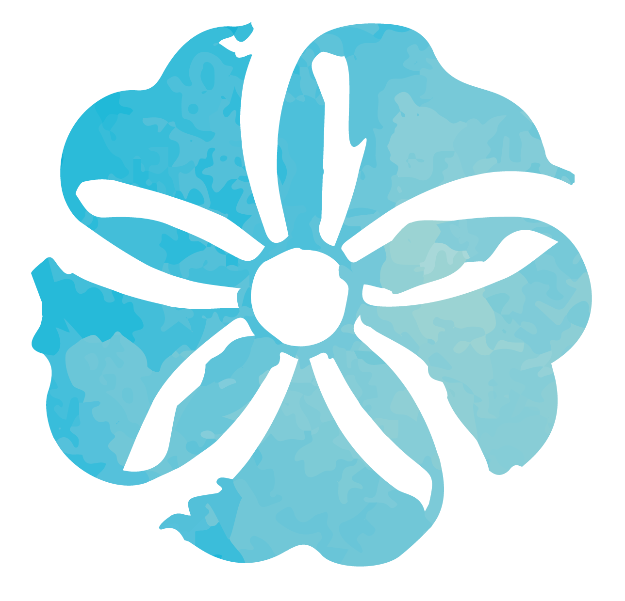 CALCIO + D 3 100 comp msticables