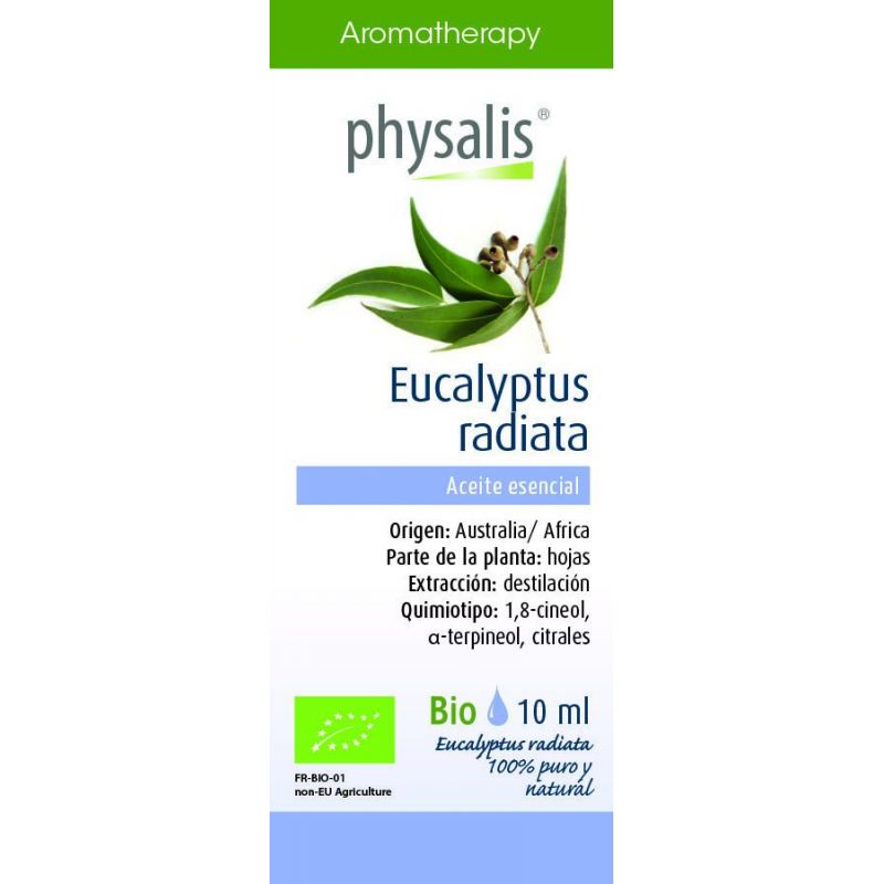 Aceite Esencial Eucalipto Radiata